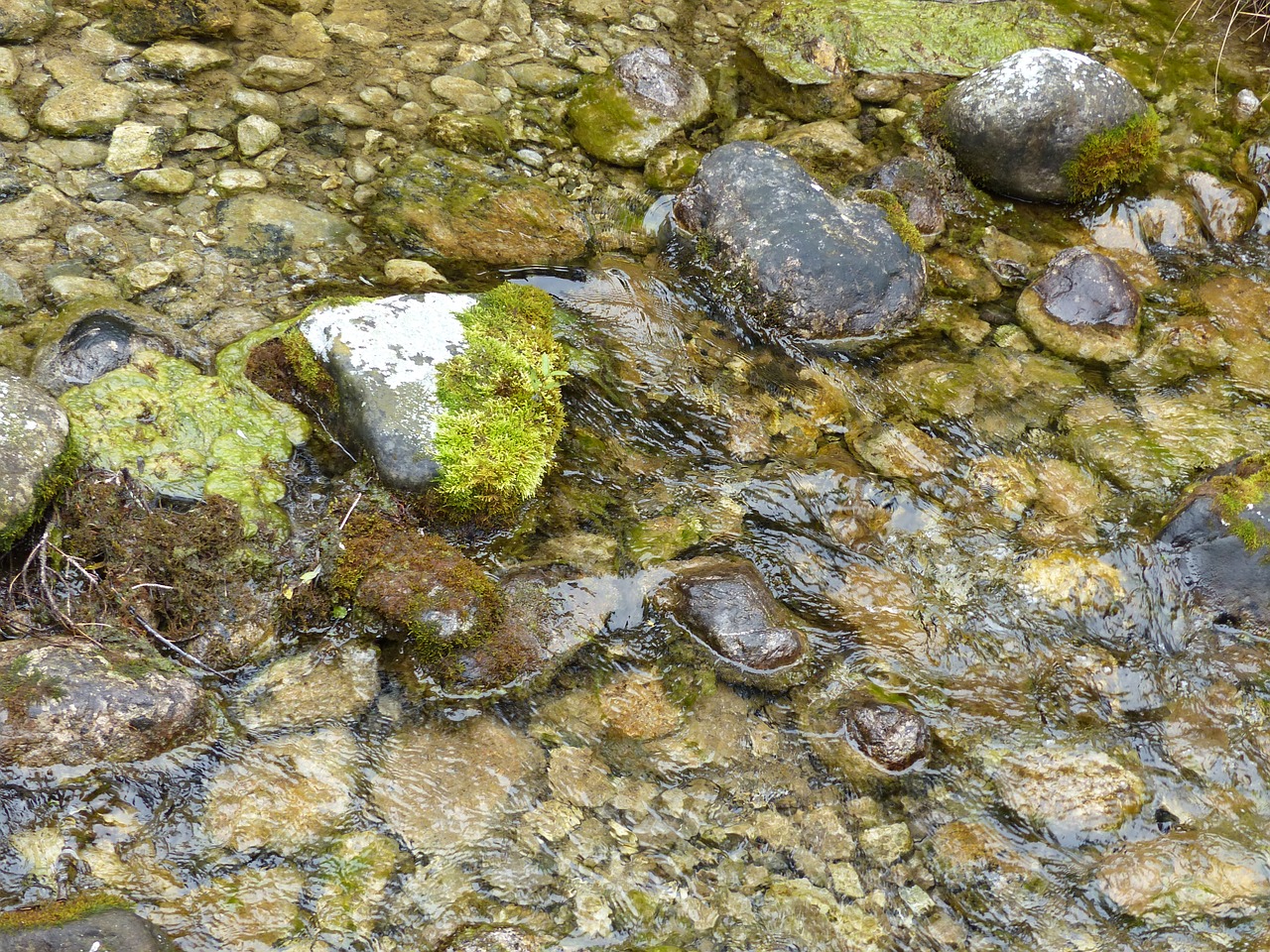 natural water bach stones free photo