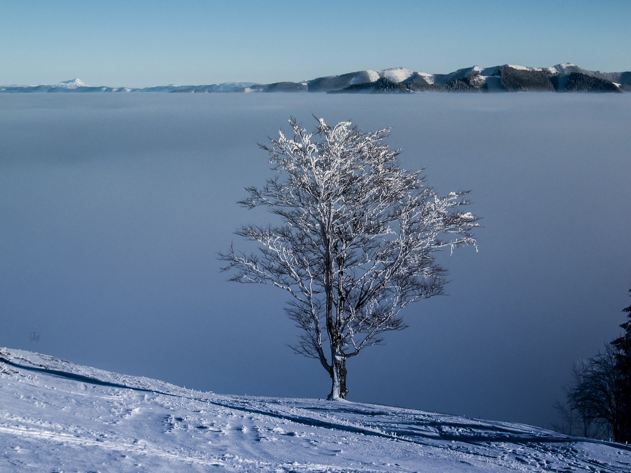 nature fog mountains free photo