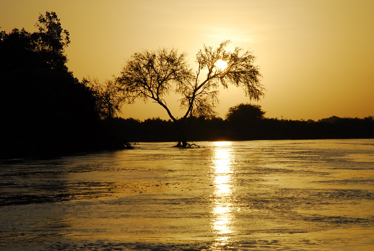 nature silhouette sunset free photo