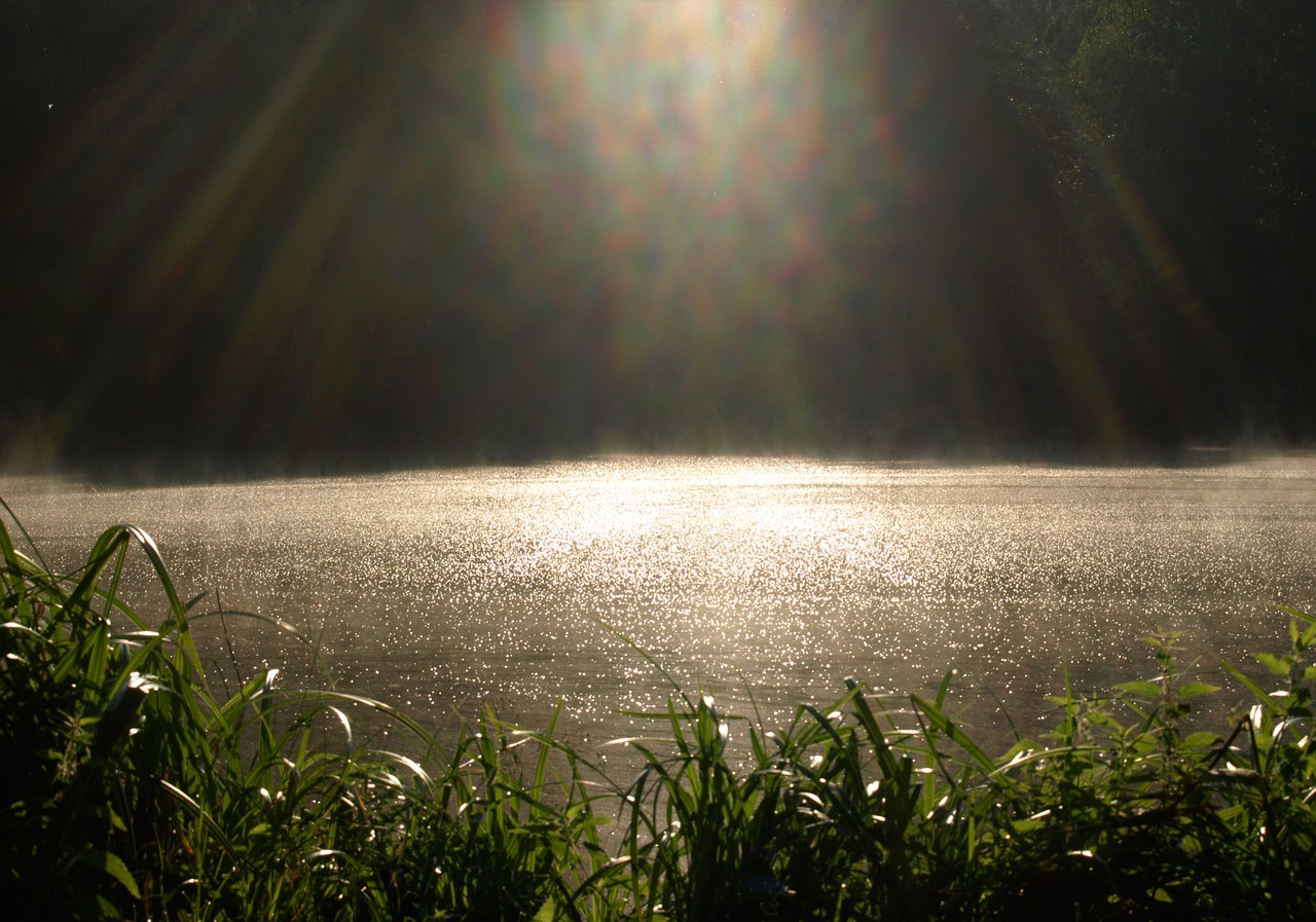 pond surface fog free photo