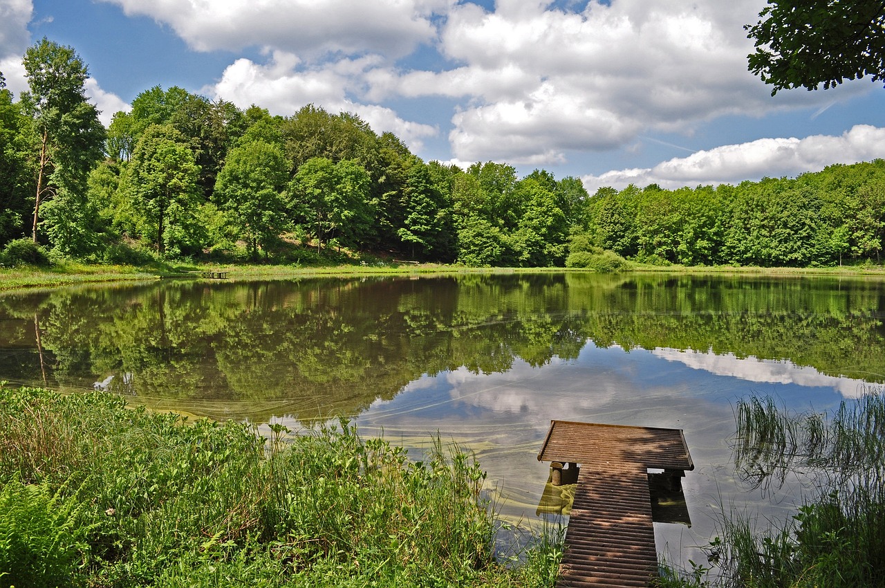 nature lake mirroring free photo