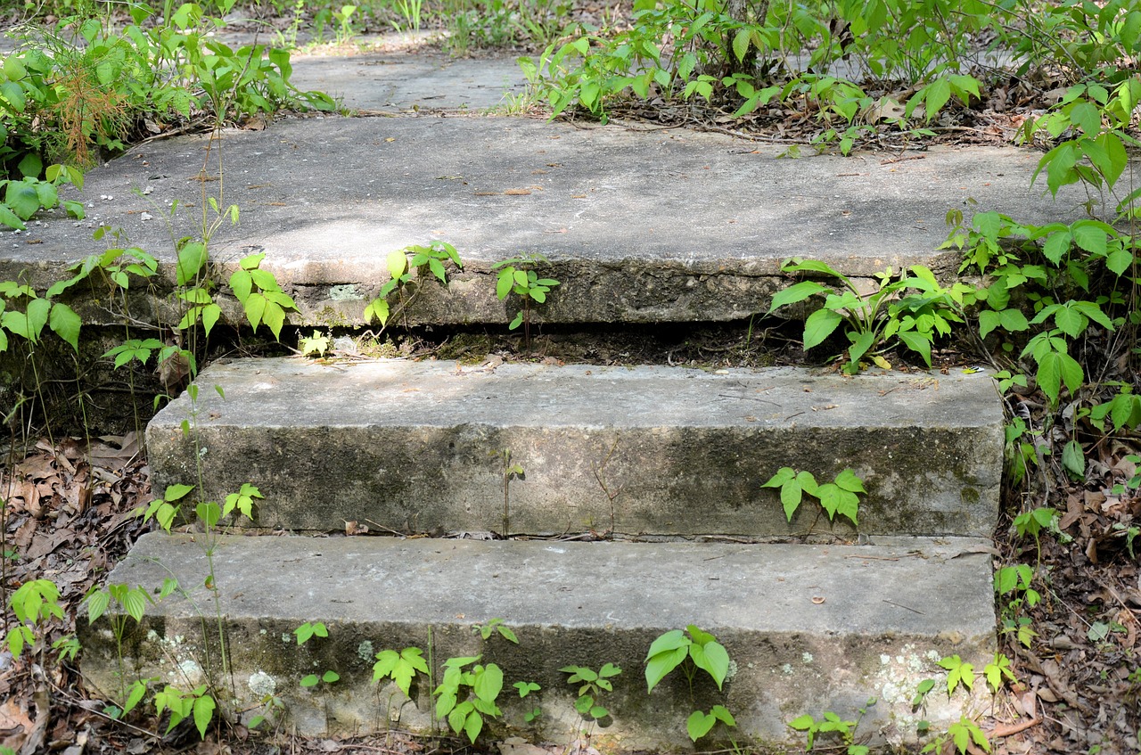 nature steps outdoor free photo