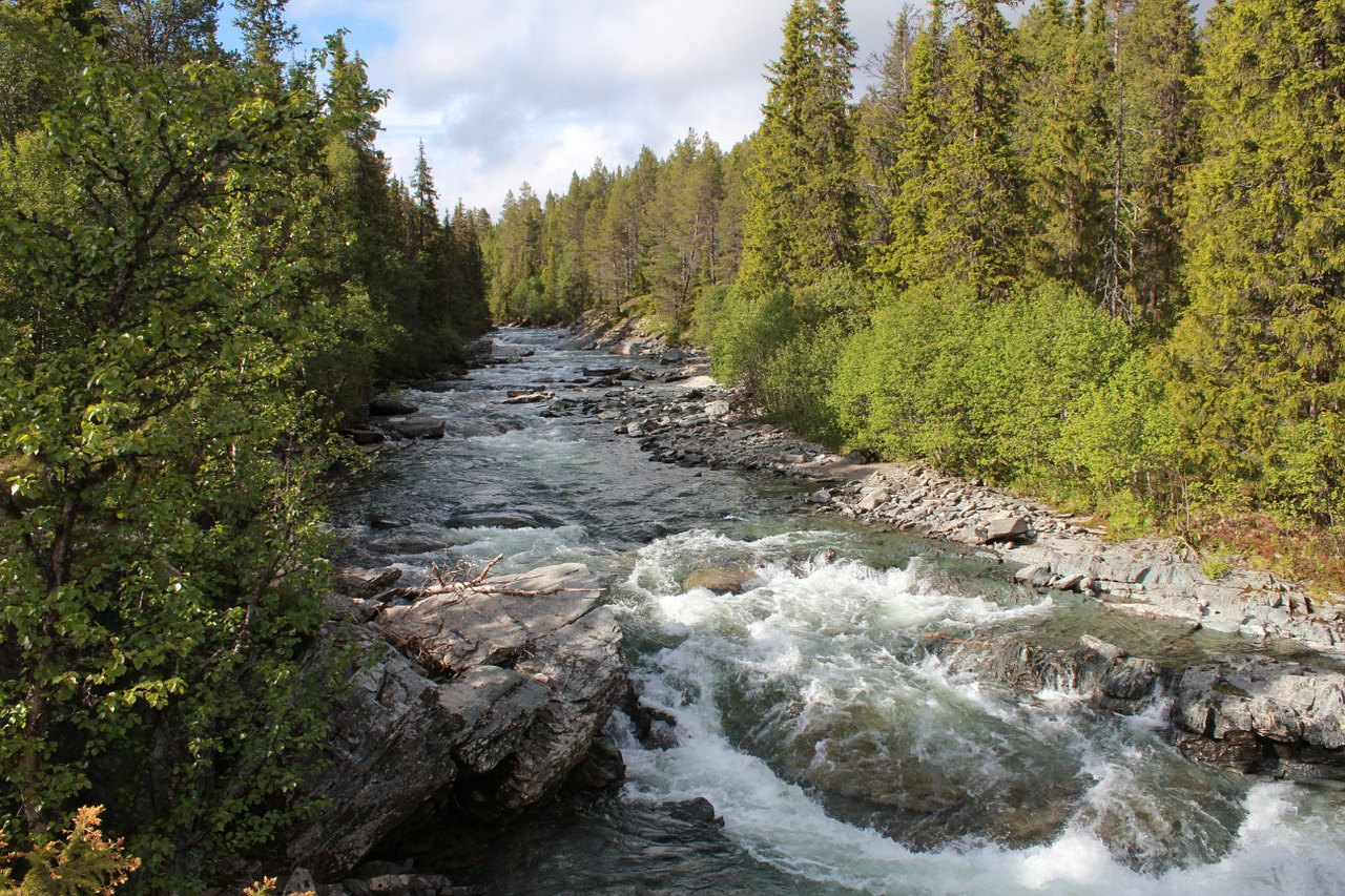 nature autumn sweden free photo