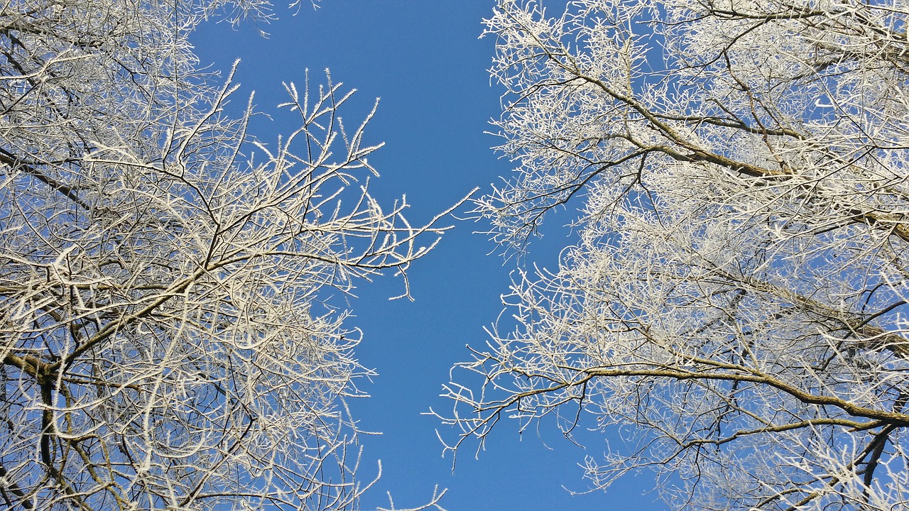 nature winter landscape free photo