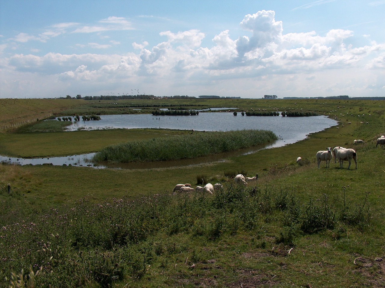 nature water landscape free photo