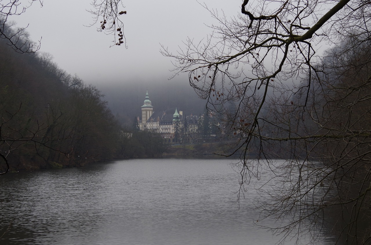 nature autumn forest lake free photo