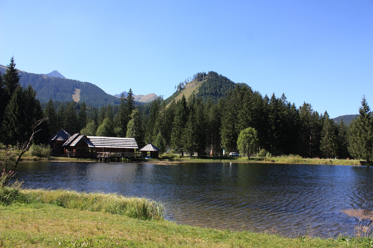 alpine lake nature austria free photo