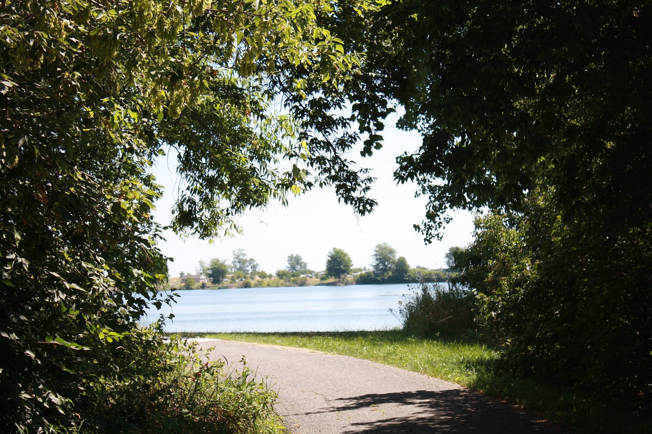 nature water path free photo