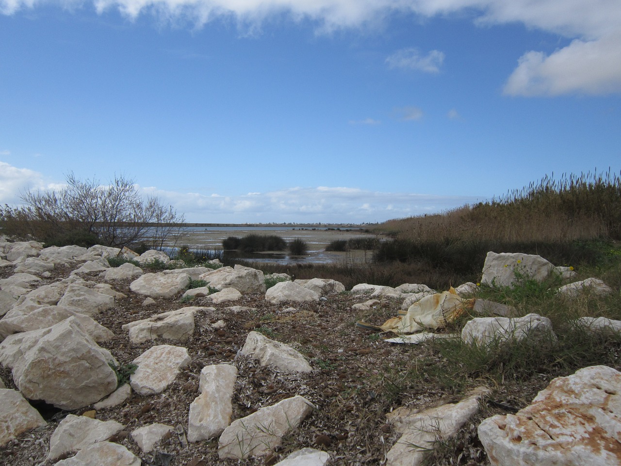 nature lagoon sea free photo