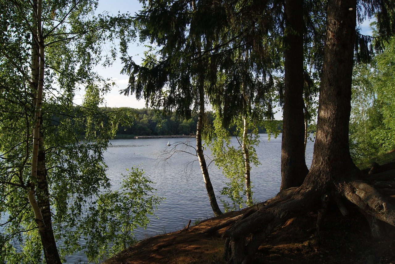 pestovo reservoir tishkovo moscow region free photo