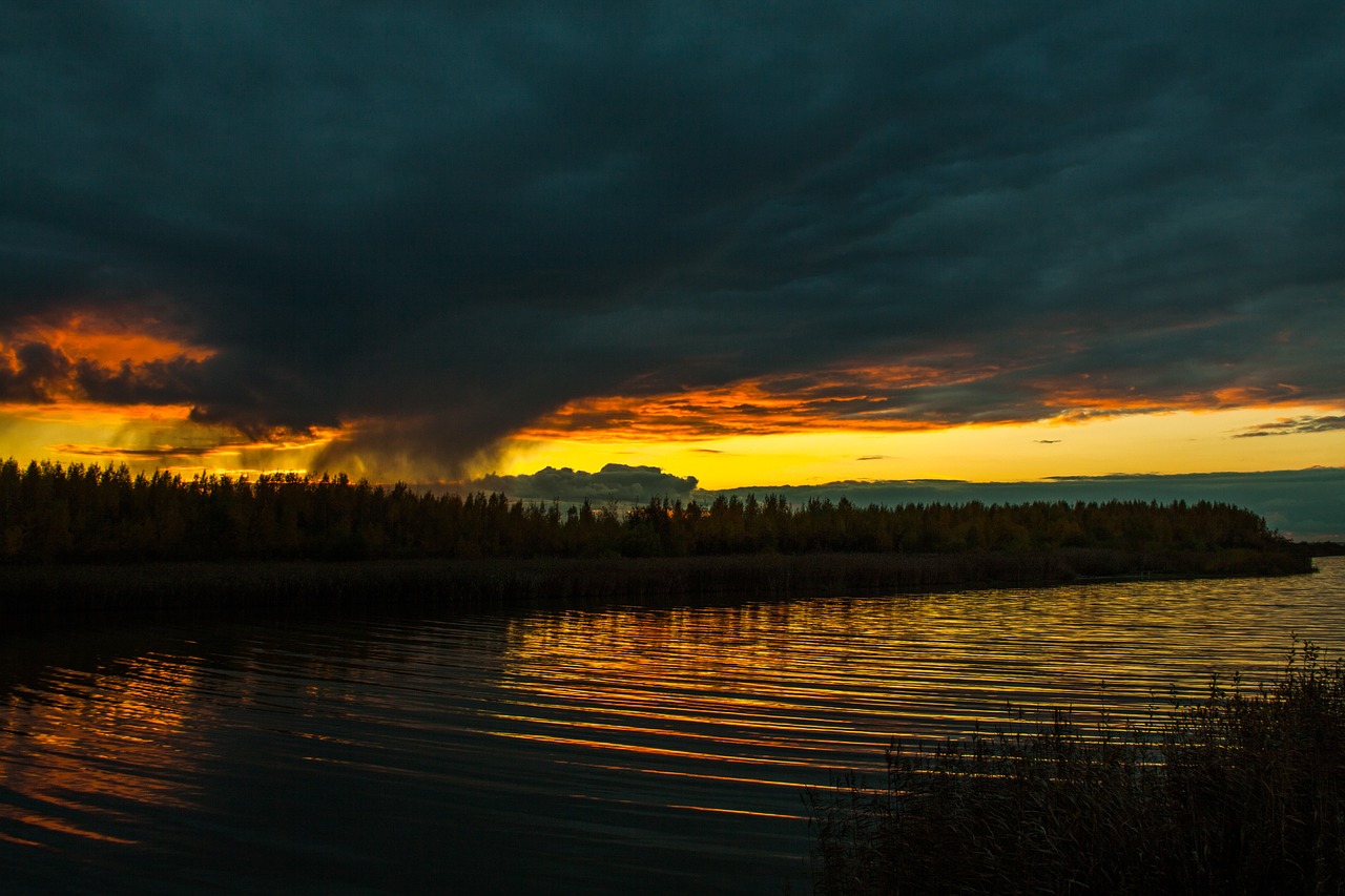 nature weather summer free photo