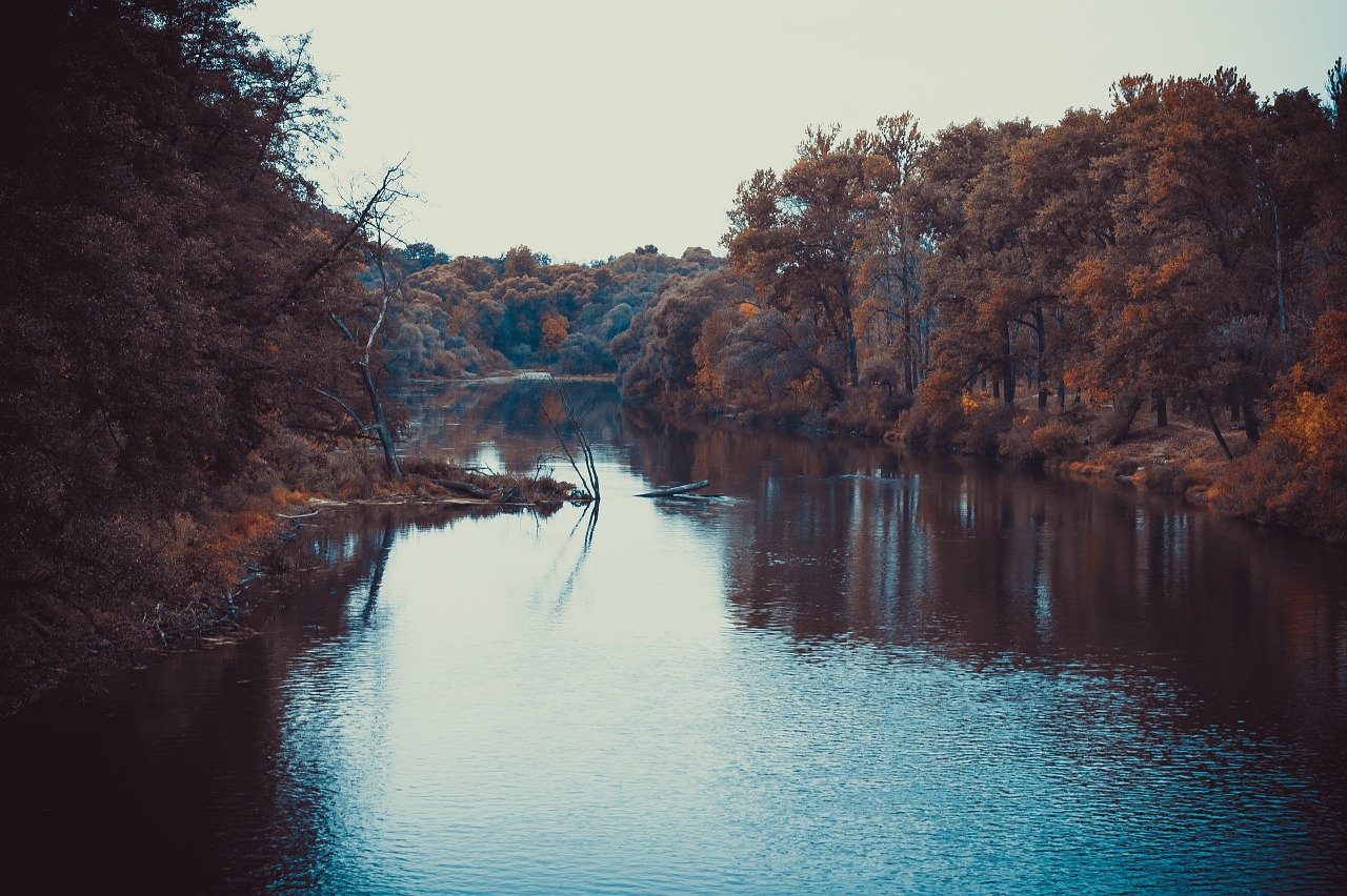 landscape river evening free photo