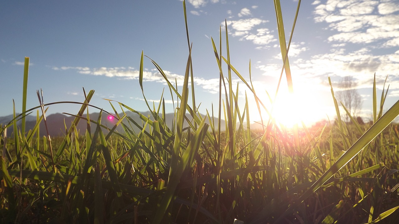 nature lying sun landscape free photo