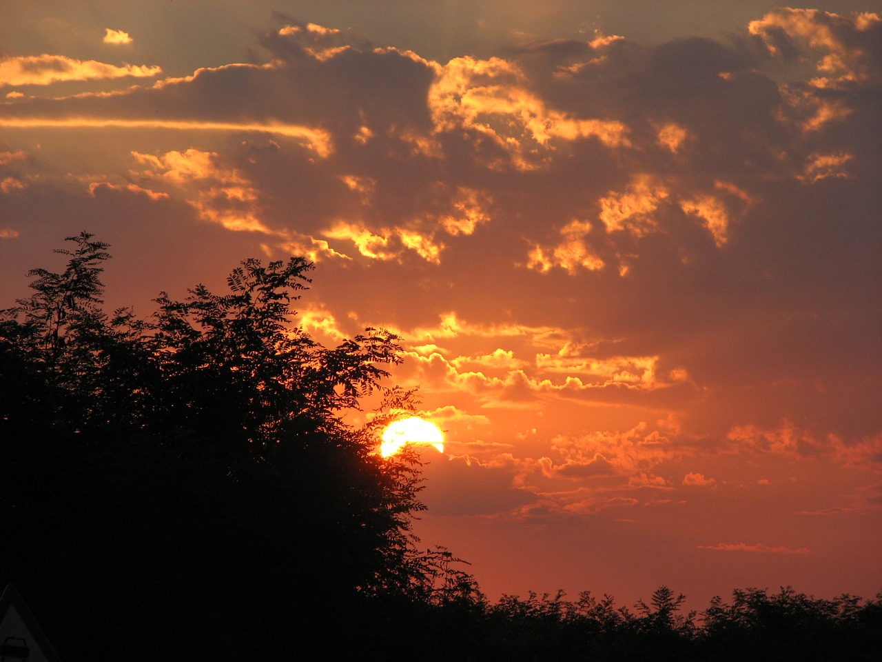 nature sky sunset free photo