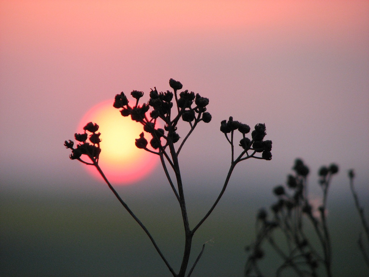 nature sky landscape free photo