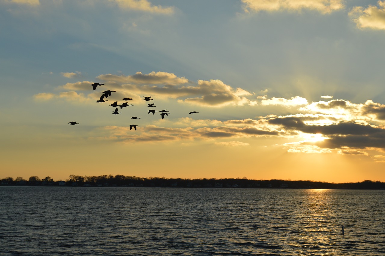 nature sunset long island free photo