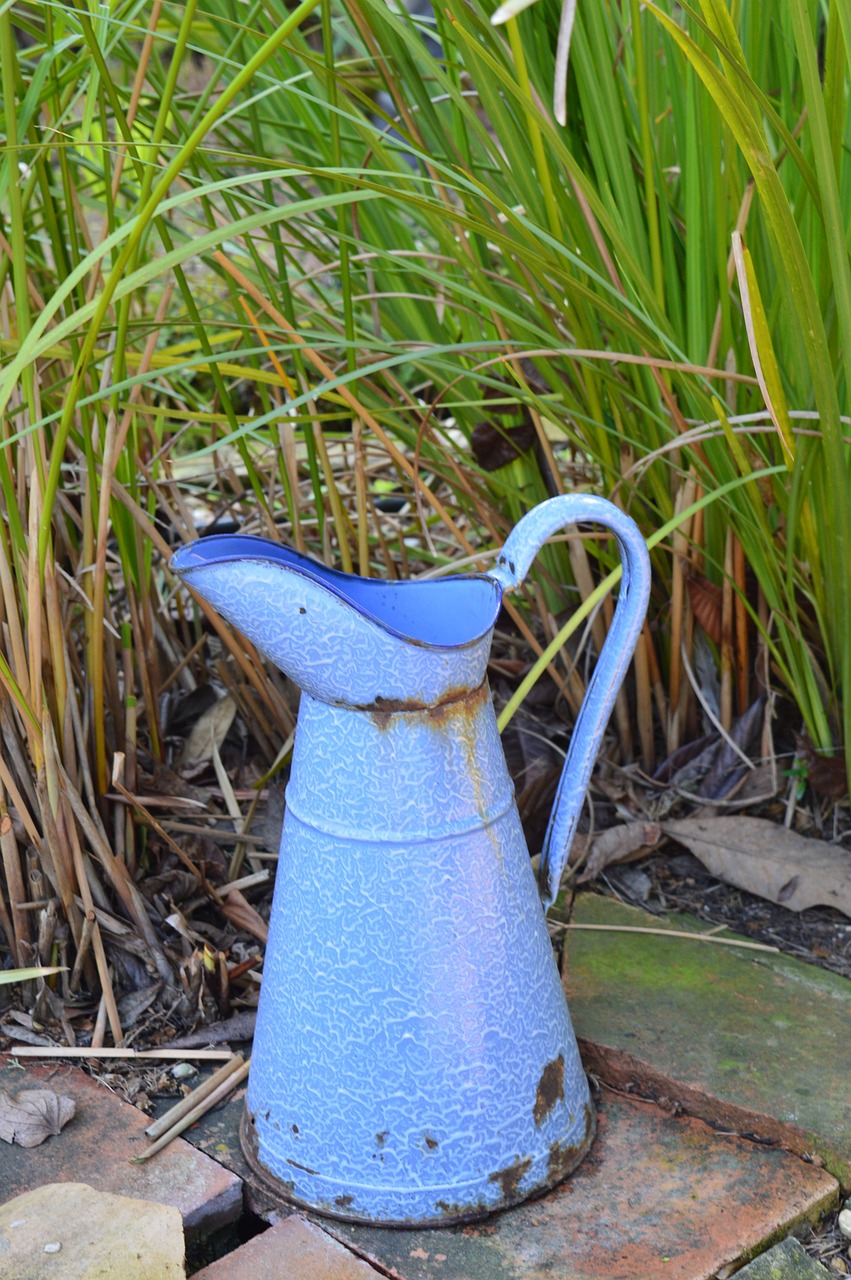 nature pot watering can free photo