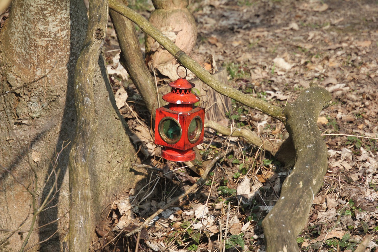 nature lamp red free photo