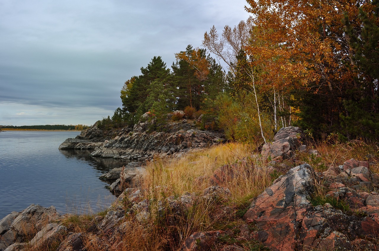 nature landscape forest free photo