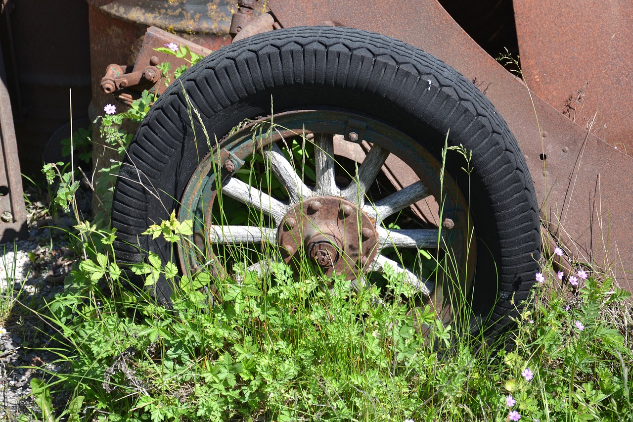nature spring tires free photo