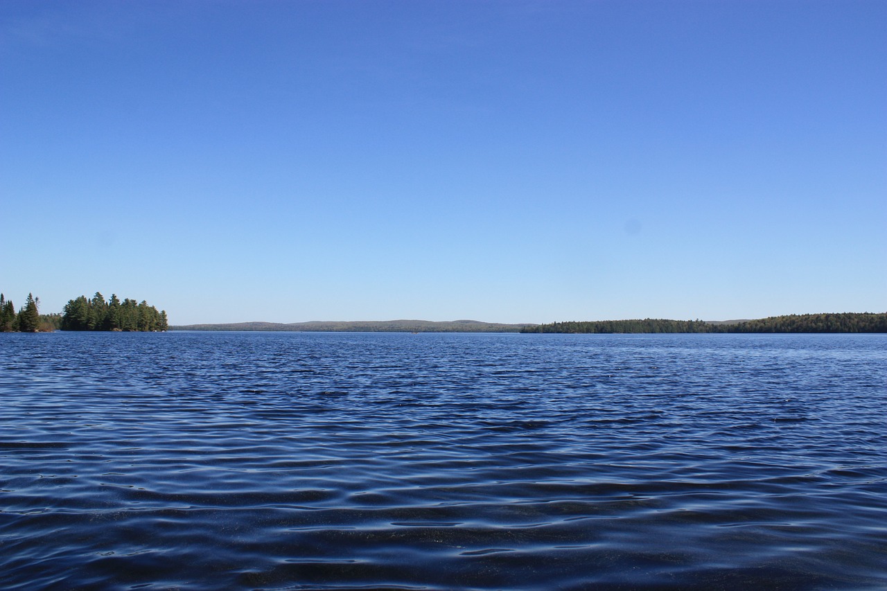 nature trees algonquin provincial park free photo