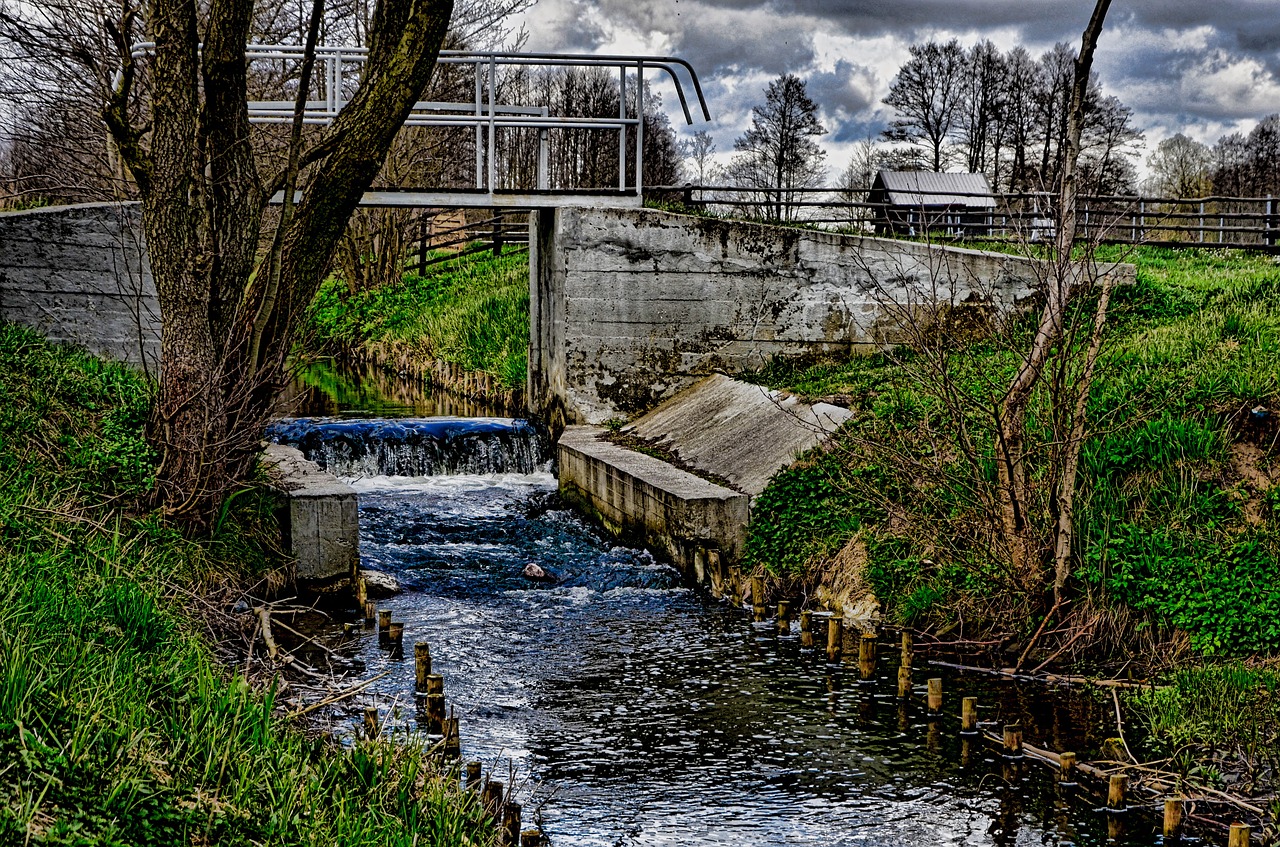 nature gdańsk rębiechowo free photo