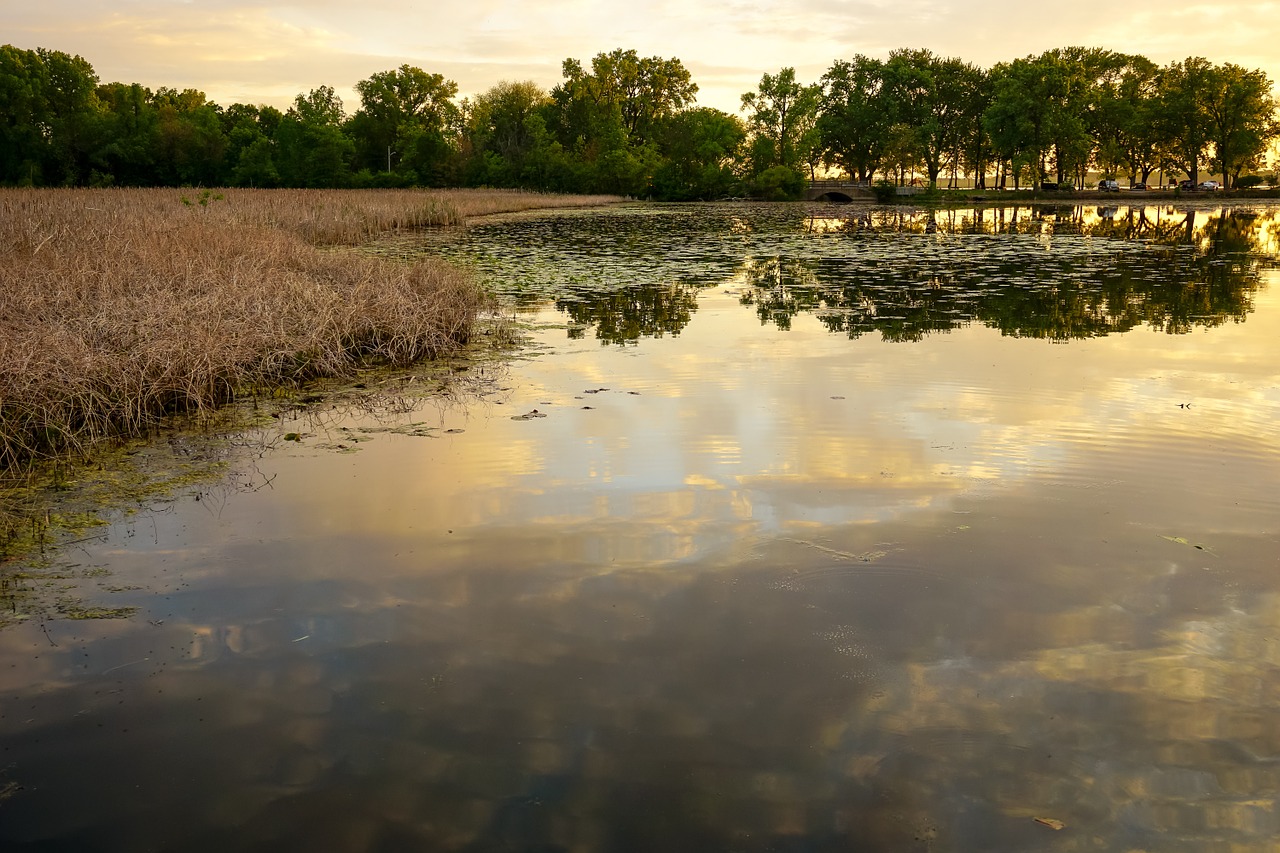 nature sunset lake free photo