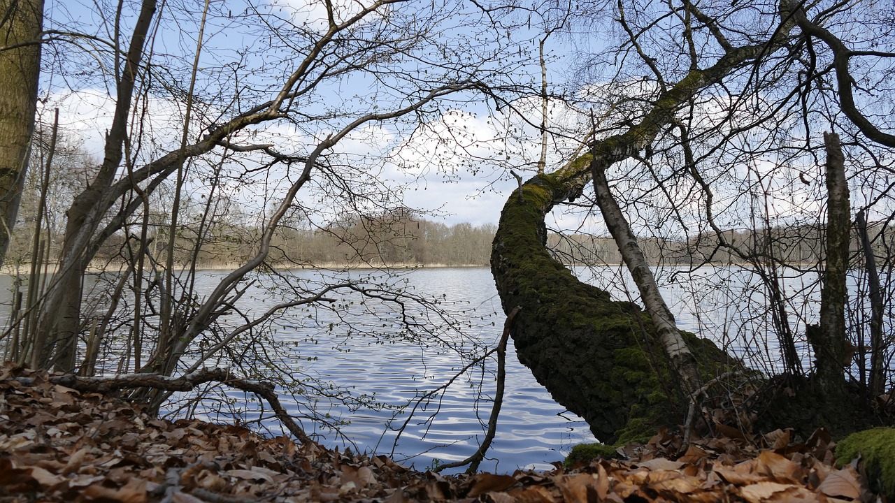 nature water lake free photo