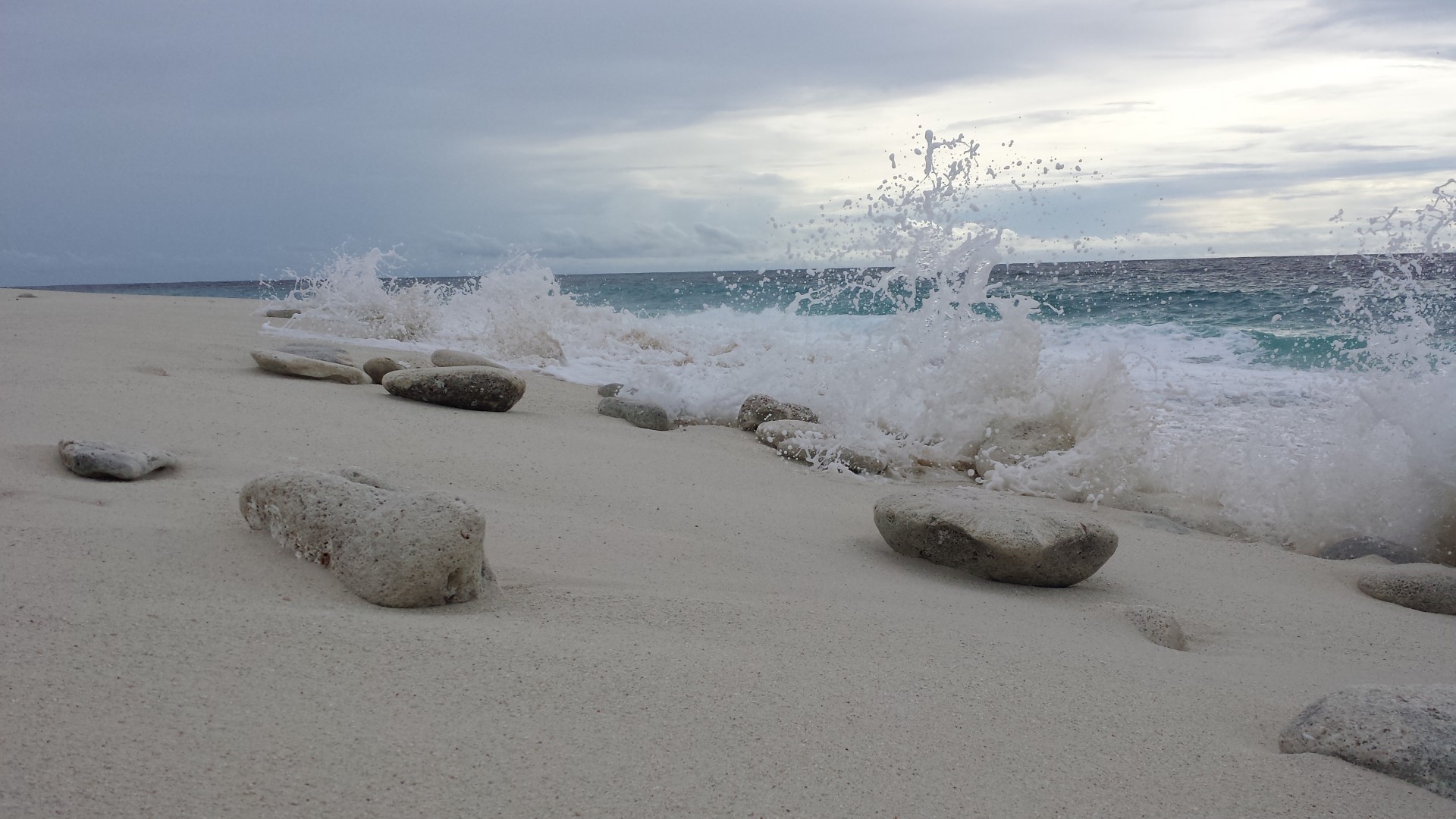 nature beach sand free photo