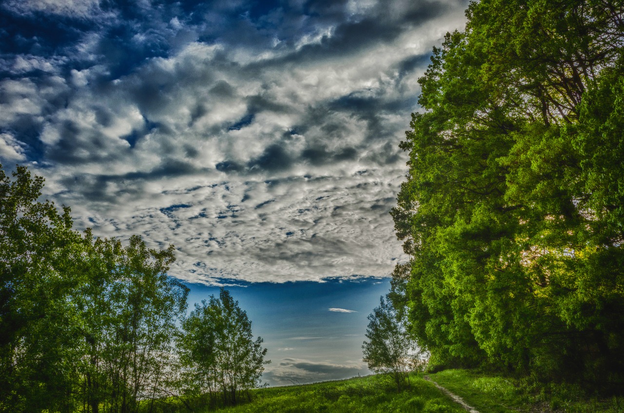 valley bolechowicka nature landscape free photo