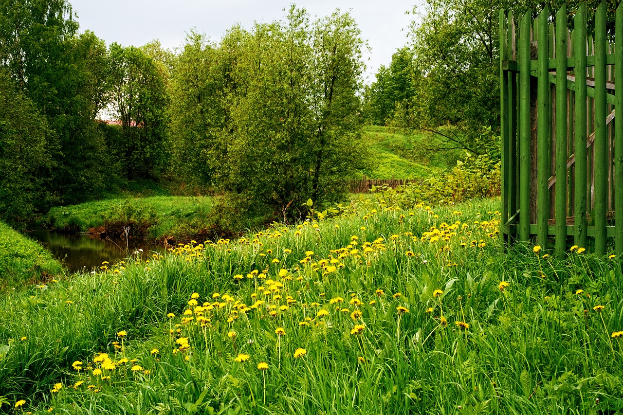 nature landscape river free photo