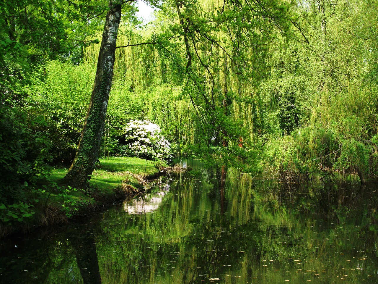 nature state garden show landscape free photo