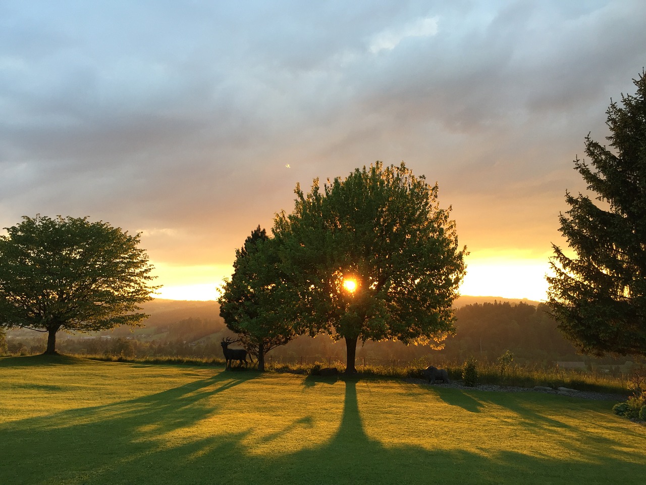 nature natural sunset free photo