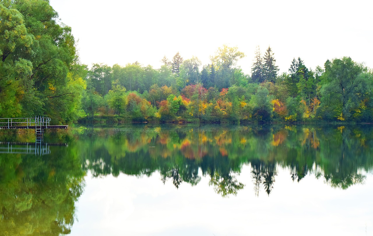 nature lake mirrored trees free photo