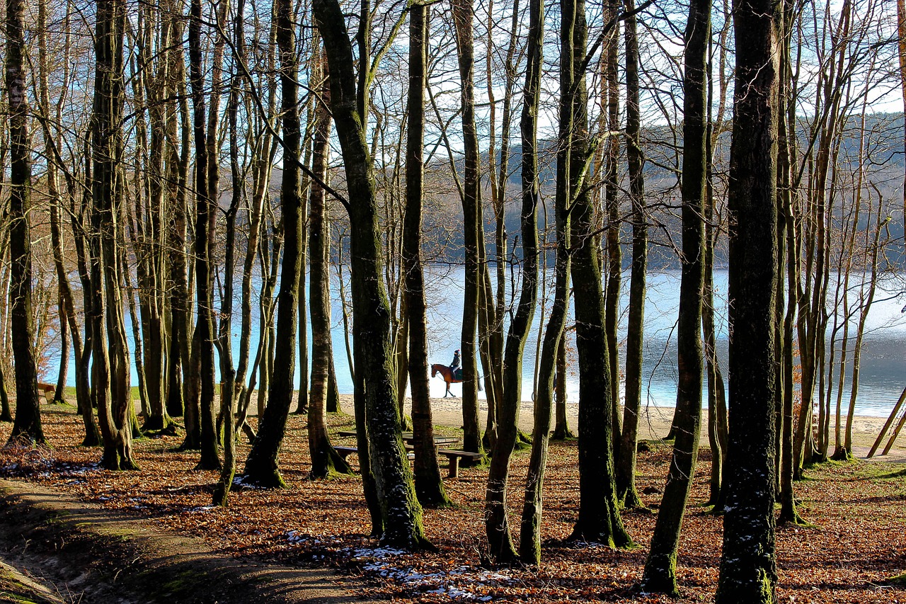 nature lake france free photo