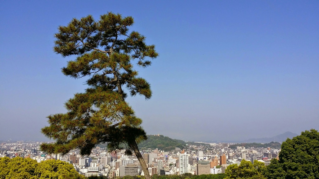 nature shikoku japan free photo