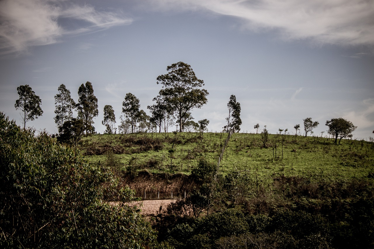 nature landscape horizon free photo