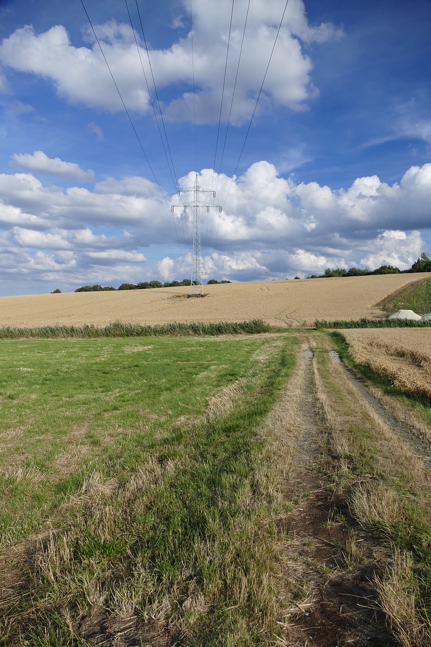 nature vision power lines free photo