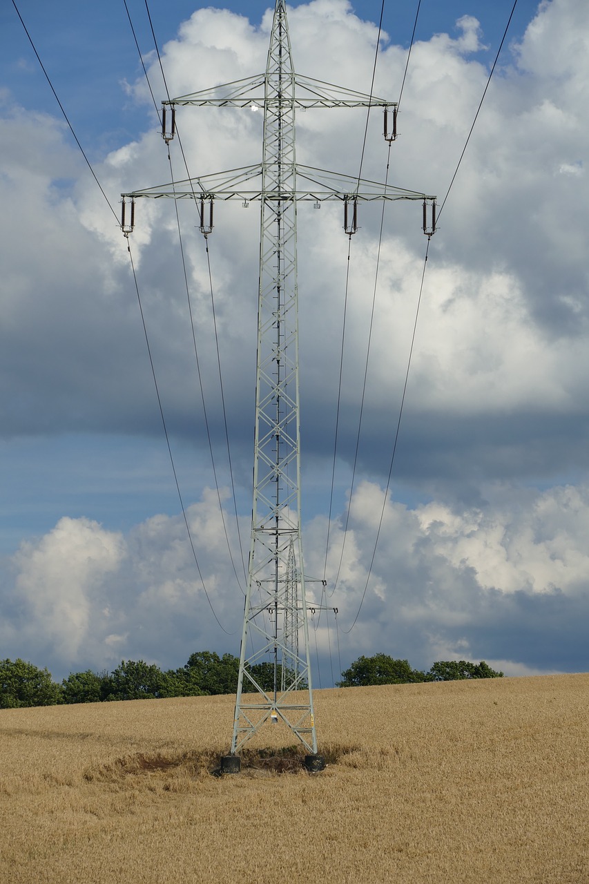 nature vision power lines free photo