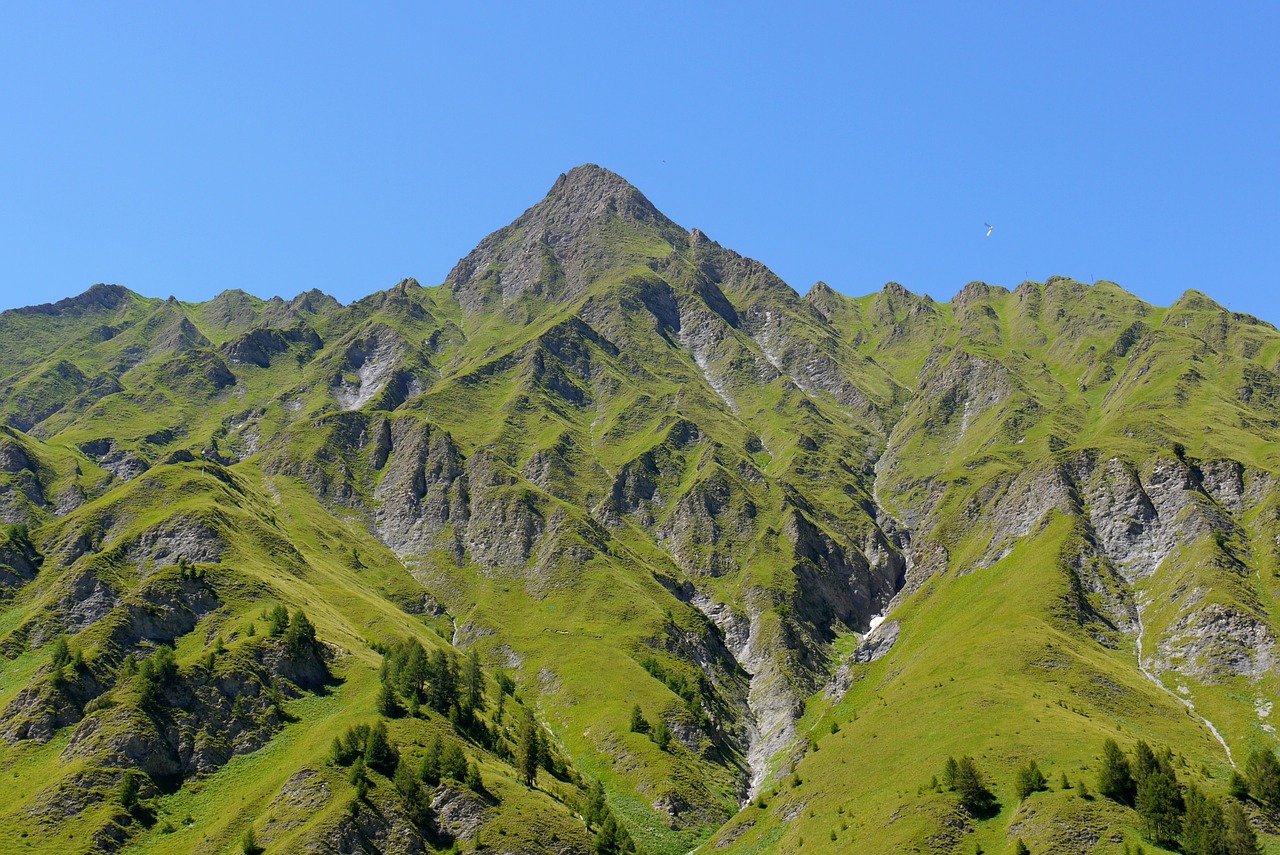 nature mountain swiss free photo