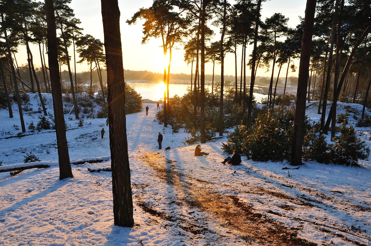 nature winter snow free photo