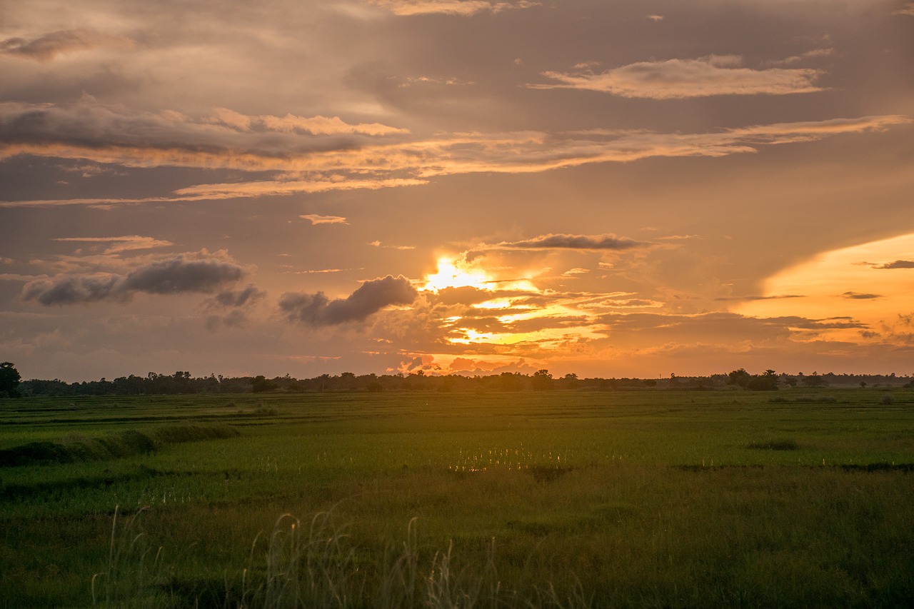 nature sky green free photo