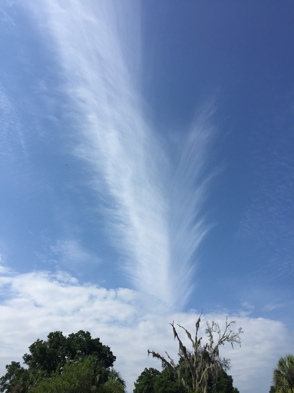 nature blue sky free photo