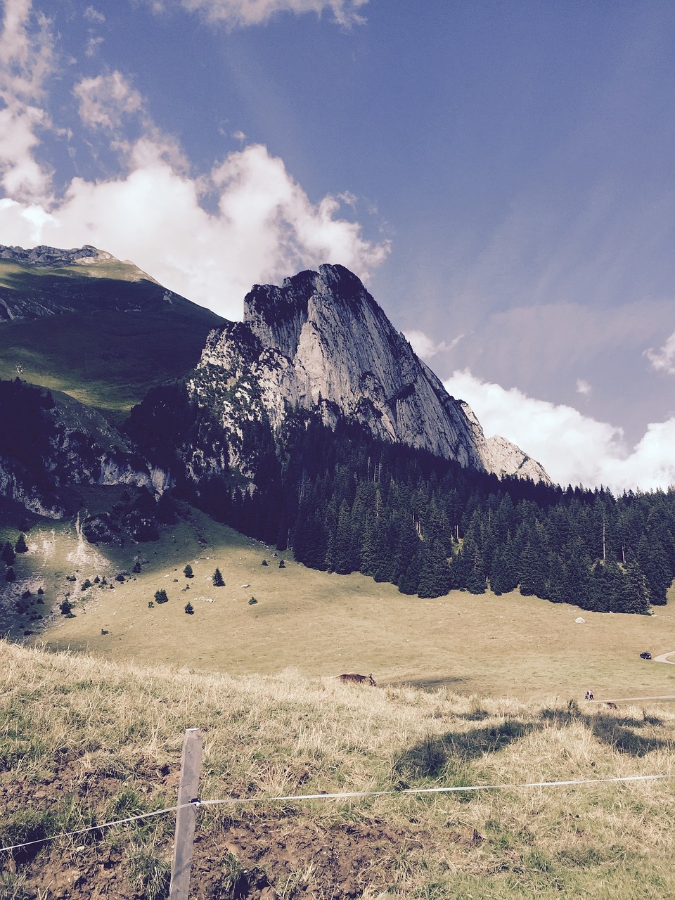 nature mountain switzerland free photo