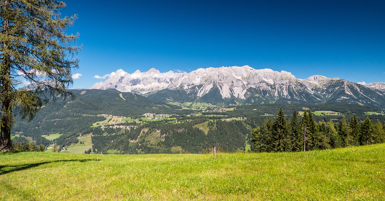 nature dachstein austria free photo