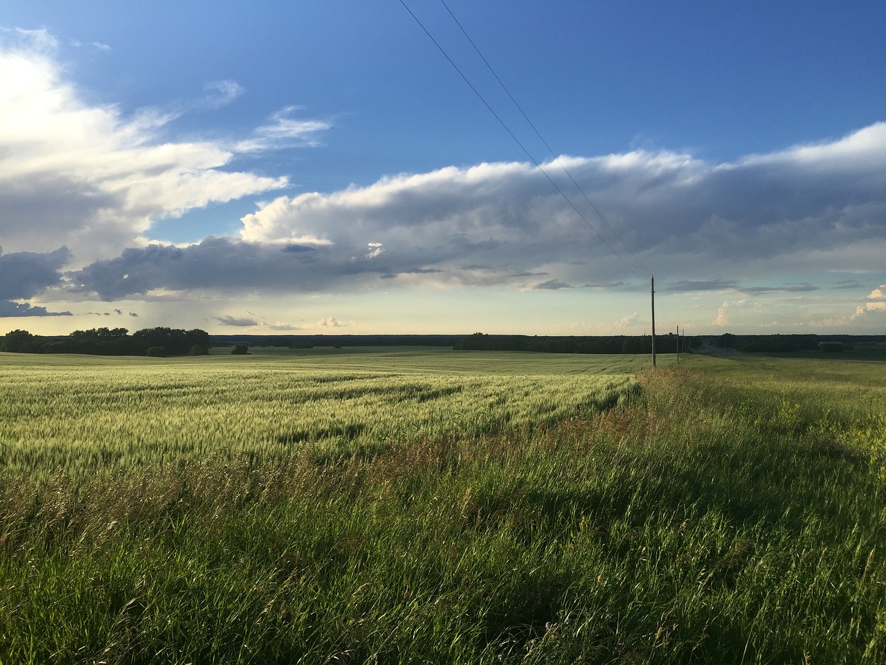 nature fields clouds free photo