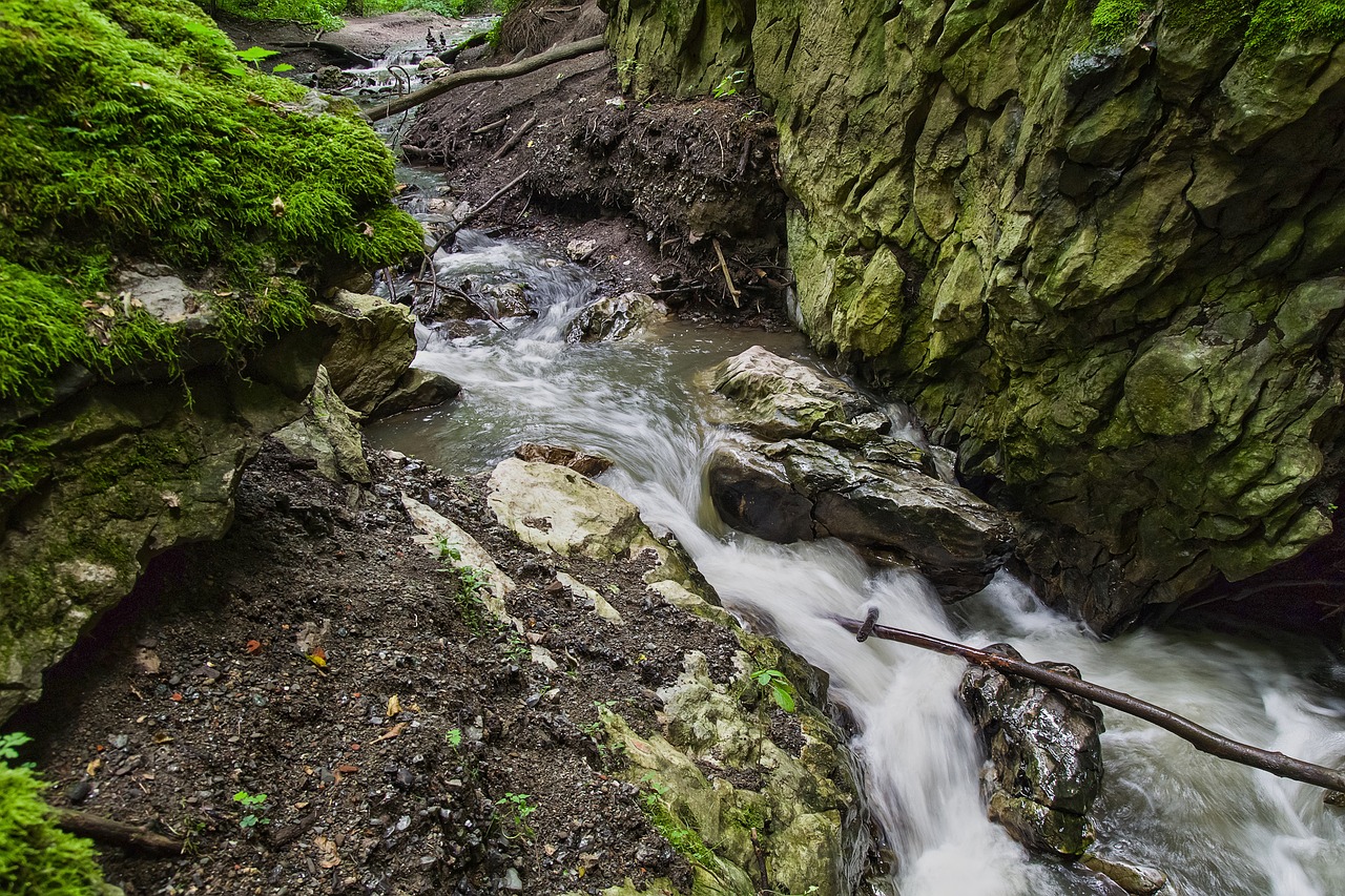 nature water rocks free photo