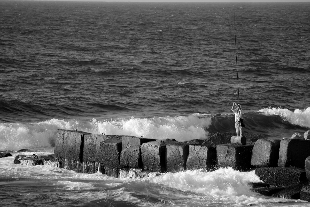 nature sea fisherman free photo