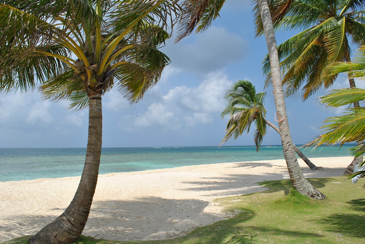 nature beach sea free photo