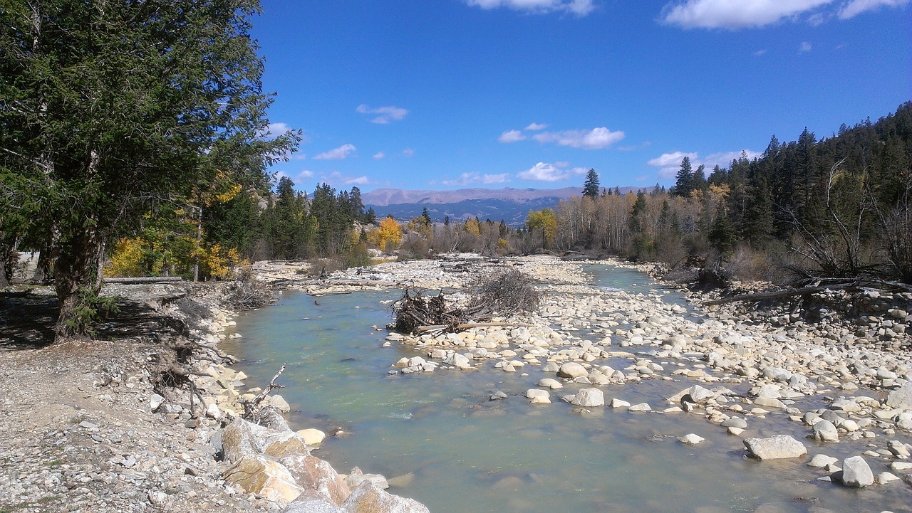 nature stream colorado free photo